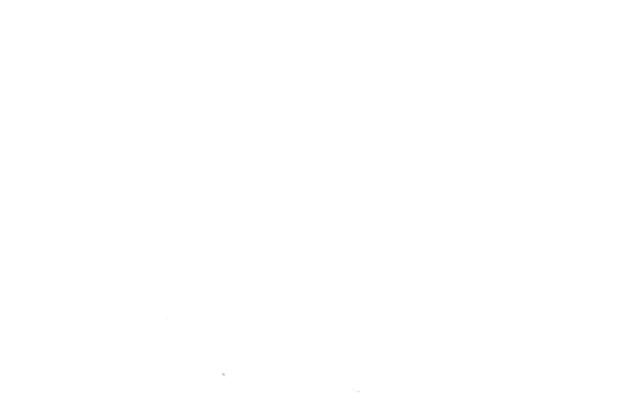 Image 59